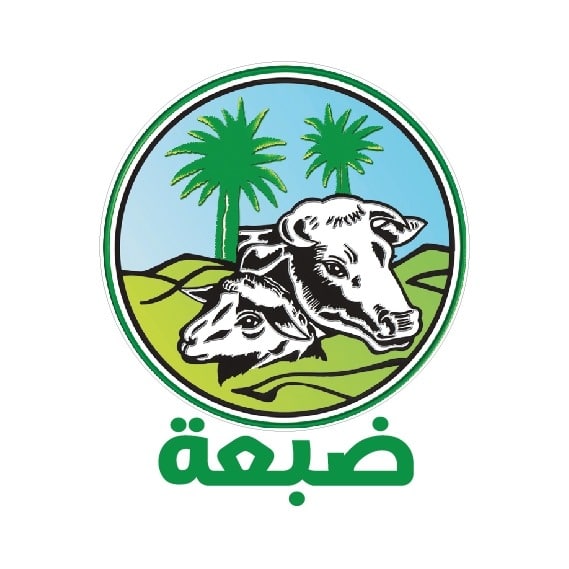 Dabaa 
