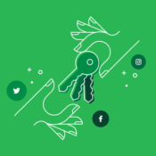 Social Media Takeovers