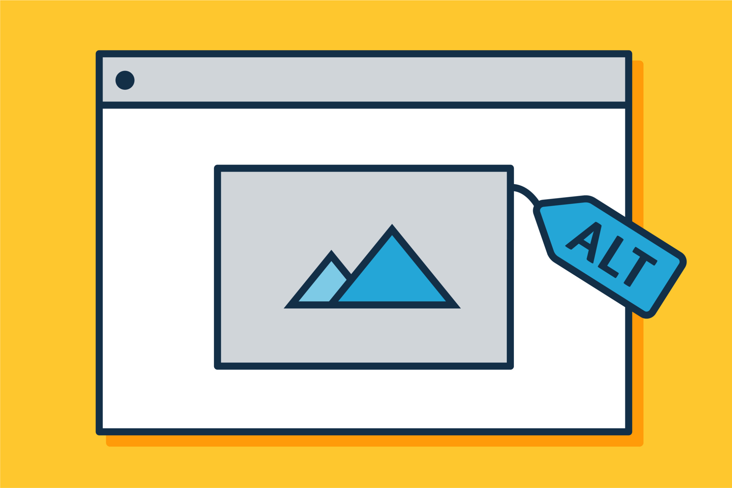 Examples of Good and Bad Alt Text